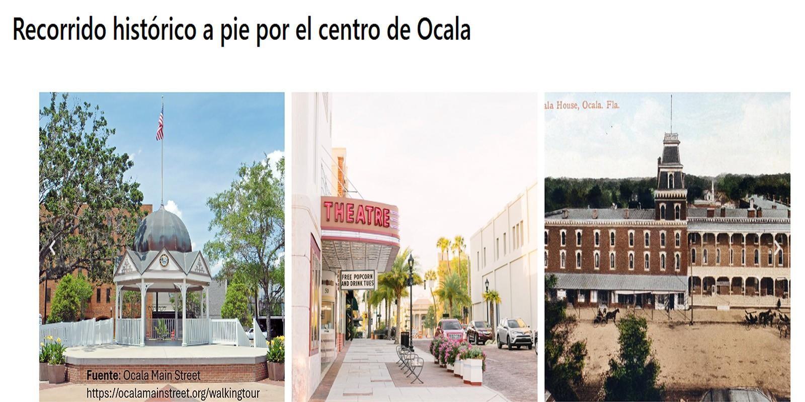 Ocala, Florida: donde la naturaleza y la inversión se encuentran