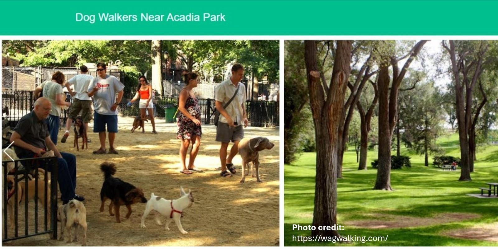 Explora los encantos naturales de Miami-Dade en Acadia Park, Amelia Earhart Park y Tropical Park. Disfruta de deportes, picnics y naturaleza en estos oasis urbanos.